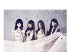 이미지정보