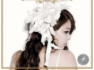이미지정보