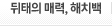 뒤태의 매력, 해치백