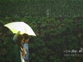 뮤직비디오