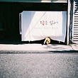 이미지정보