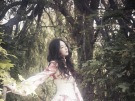 이미지정보