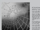 이미지정보