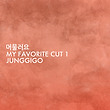 이미지정보
