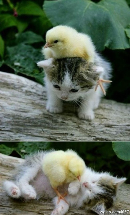 171309434DC60C651B082E 171309434DC60C651B082E