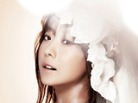 이미지정보