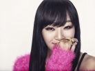 이미지정보