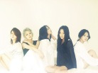 이미지정보