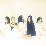 이미지정보