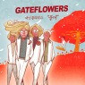 이미지정보