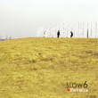 이미지정보