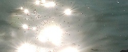 인디고차트50 | 2012.04.下