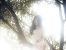 이미지정보