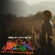 이미지정보