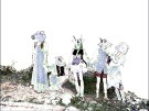 이미지정보