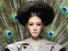 이미지정보
