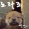 이미지정보