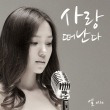 이미지정보