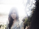 이미지정보