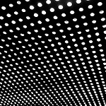 이미지정보