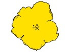 이미지정보