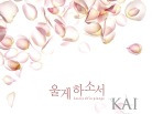 이미지정보