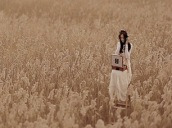 뮤직비디오