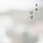 이미지정보
