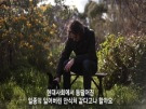 뮤직비디오