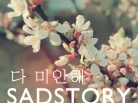 이미지정보