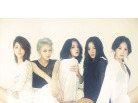 이미지정보