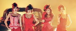시크릿 [Poison]