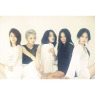 이미지정보