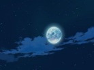 뮤직비디오