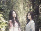 이미지정보