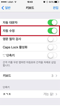 자동수정 설정 화면