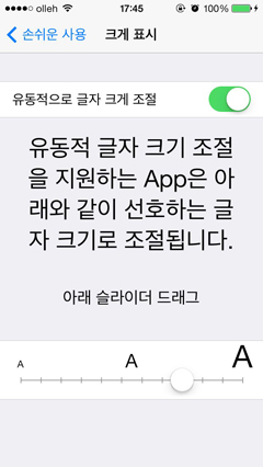 크게 표시 설정화면