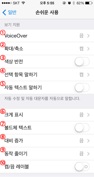 손쉬운 사용 내 보기 지원 메뉴 화면