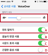 VoiceOver 설정화면
