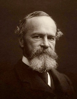 William James (윌리엄 제임스)