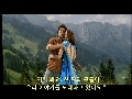 인도 영화 "비르자라 (Veer Zaara)"를 봐도 볼 수 없는 '비르자라' 뮤비