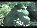 변 바위(관악산)