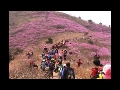 웰빙산악회 여수 영취산