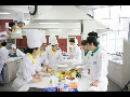 요리전문학교 이흥구 교수님의 동아리 Mistar  Chef