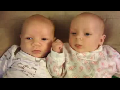 2달 된 쌍둥이 아가, 깨물어주고파