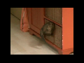 엉덩이 콩~ 밀어주고 싶네