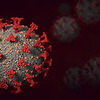 코로나 바이러스의 변이주는 어디서 탄생하는가?