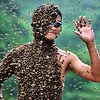 꿀벌이 살충제 중독으로 빠지는 이유