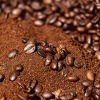 신경과학이 증명, 하루 첫 커피가 뇌에 미치는 다섯 가지 영향