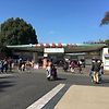 일본 도쿄 4박5일 여행 - 우에노 동물원(1)